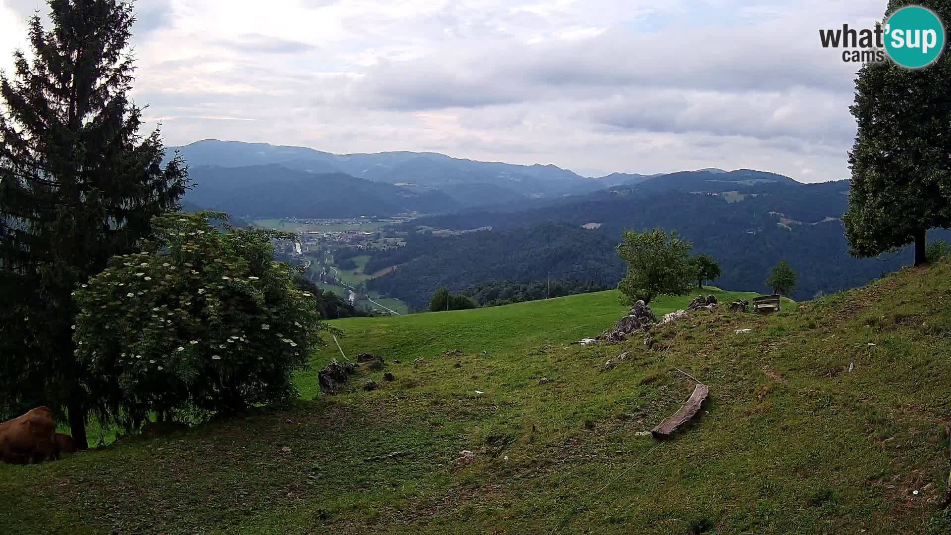 Slajka livecam | Gorenja Vas | Slovénie