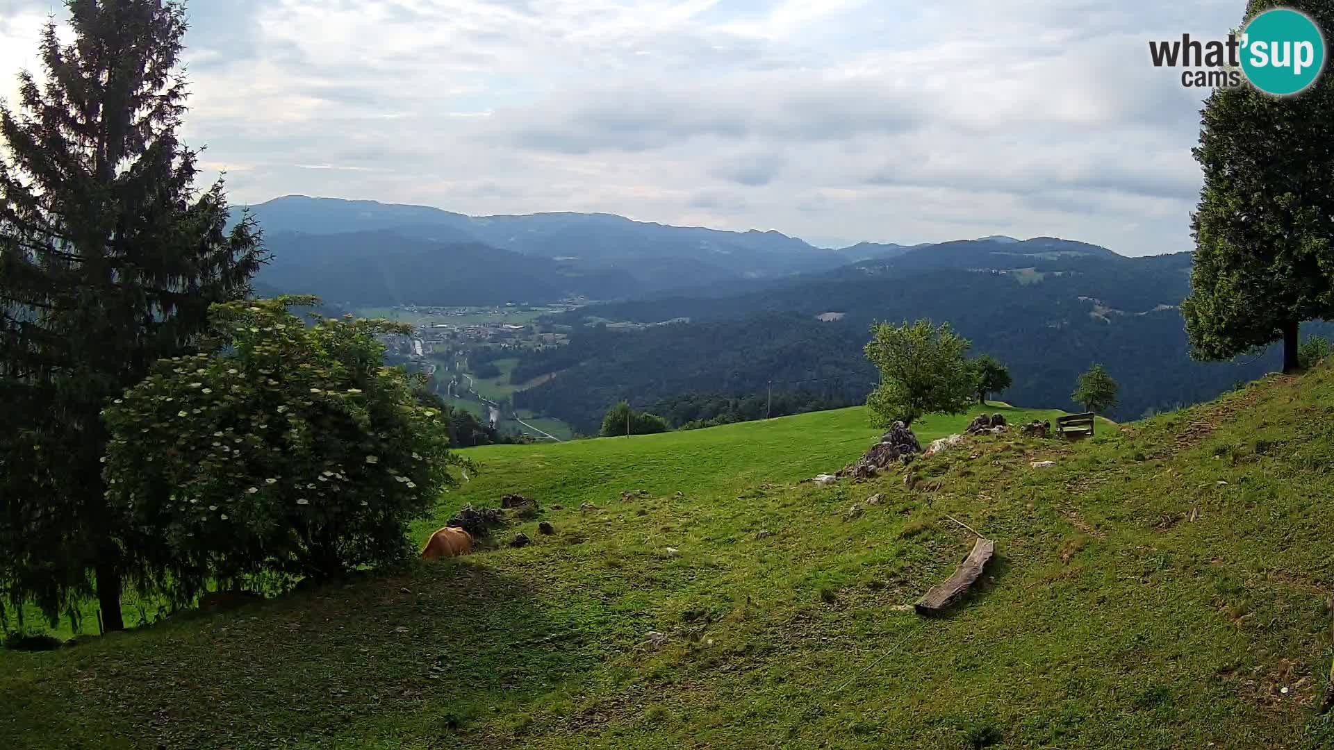 Slajka webcam | Gorenja Vas | Slowenien