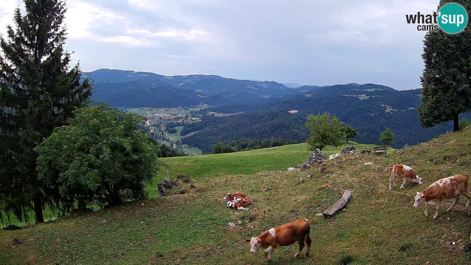 Slajka webam | Gorenja vas | Slovenia