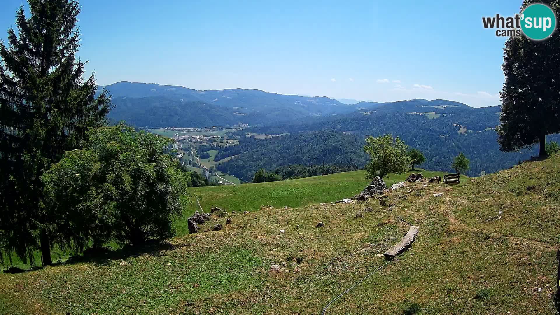 Slajka livecam | Gorenja Vas | Slovénie