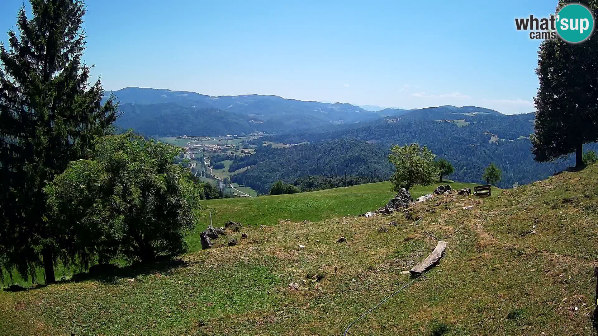 Slajka livecam | Gorenja Vas | Slovénie