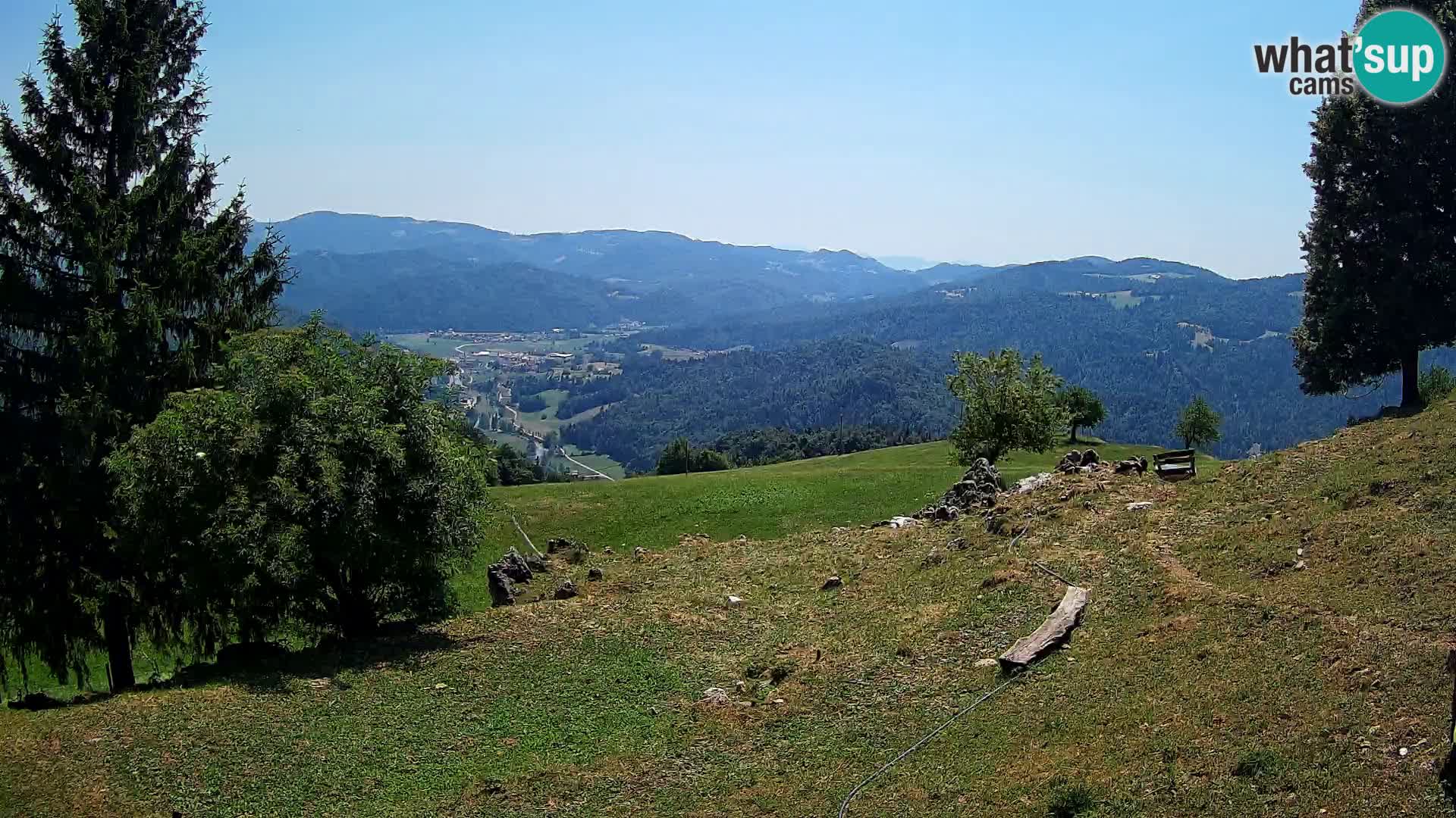 Slajka camera en vivo | Gorenja Vas | Eslovenia