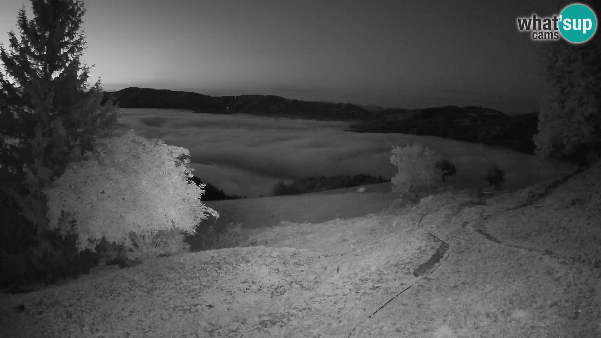 Slajka livecam | Gorenja Vas | Slovénie