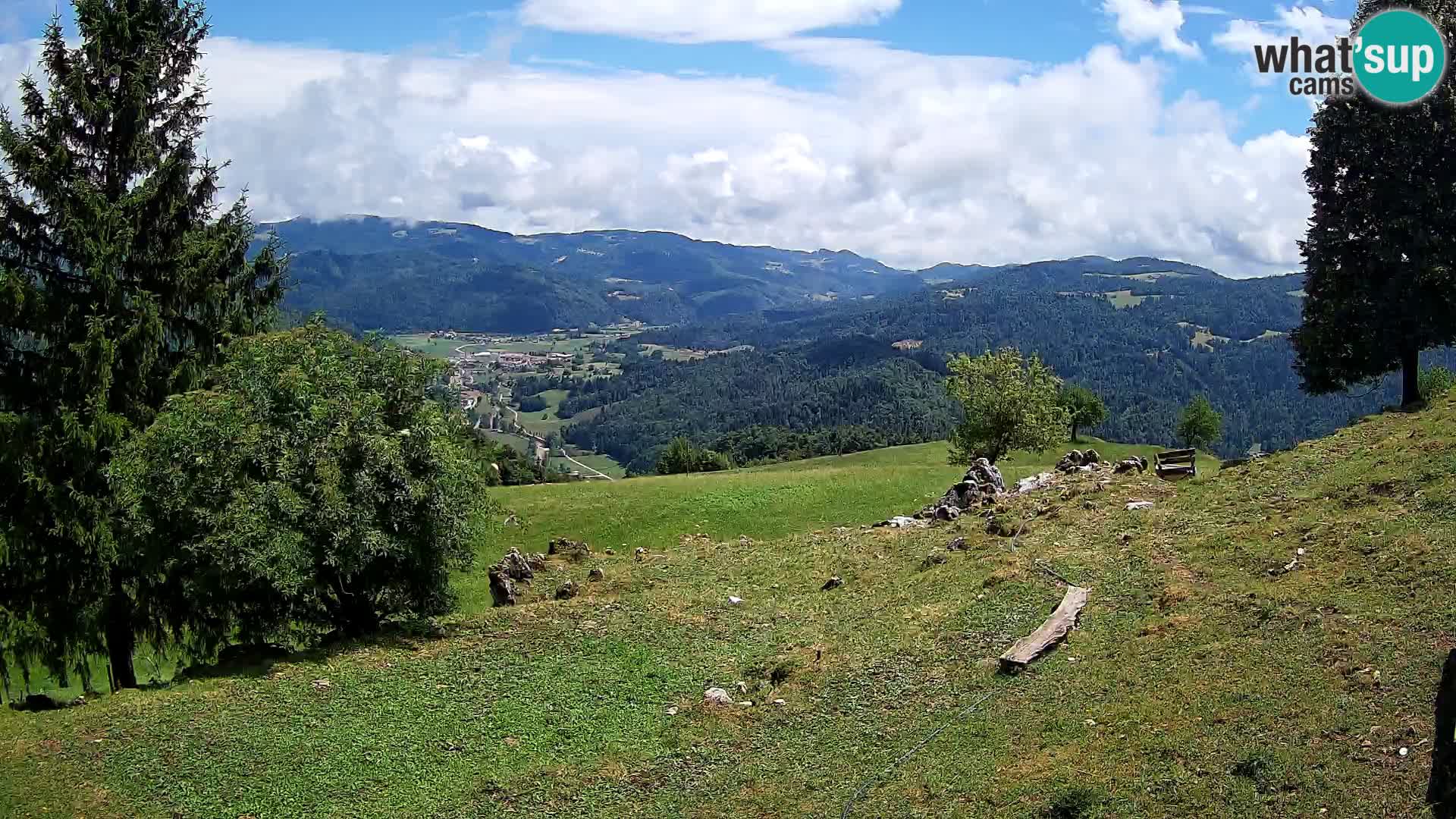 Slajka camera en vivo | Gorenja Vas | Eslovenia