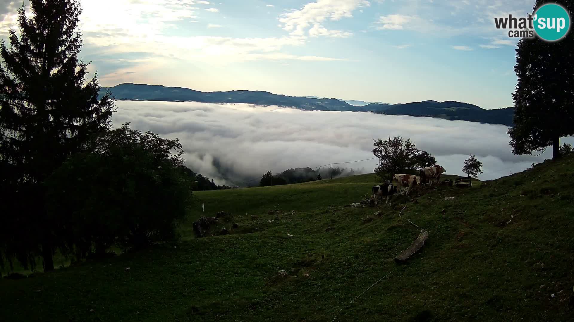 Slajka livecam | Gorenja Vas | Slovénie