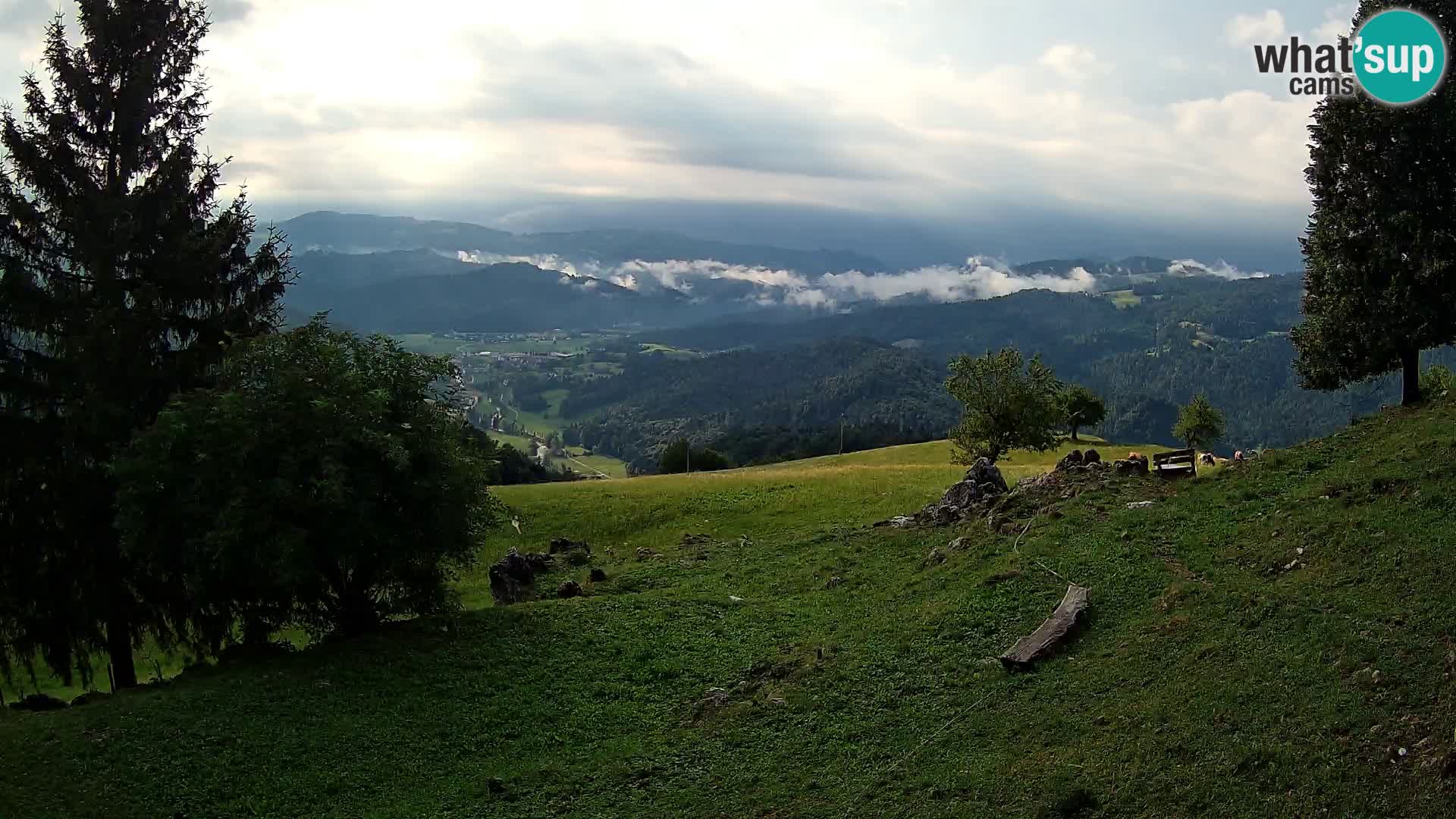 Slajka camera en vivo | Gorenja Vas | Eslovenia