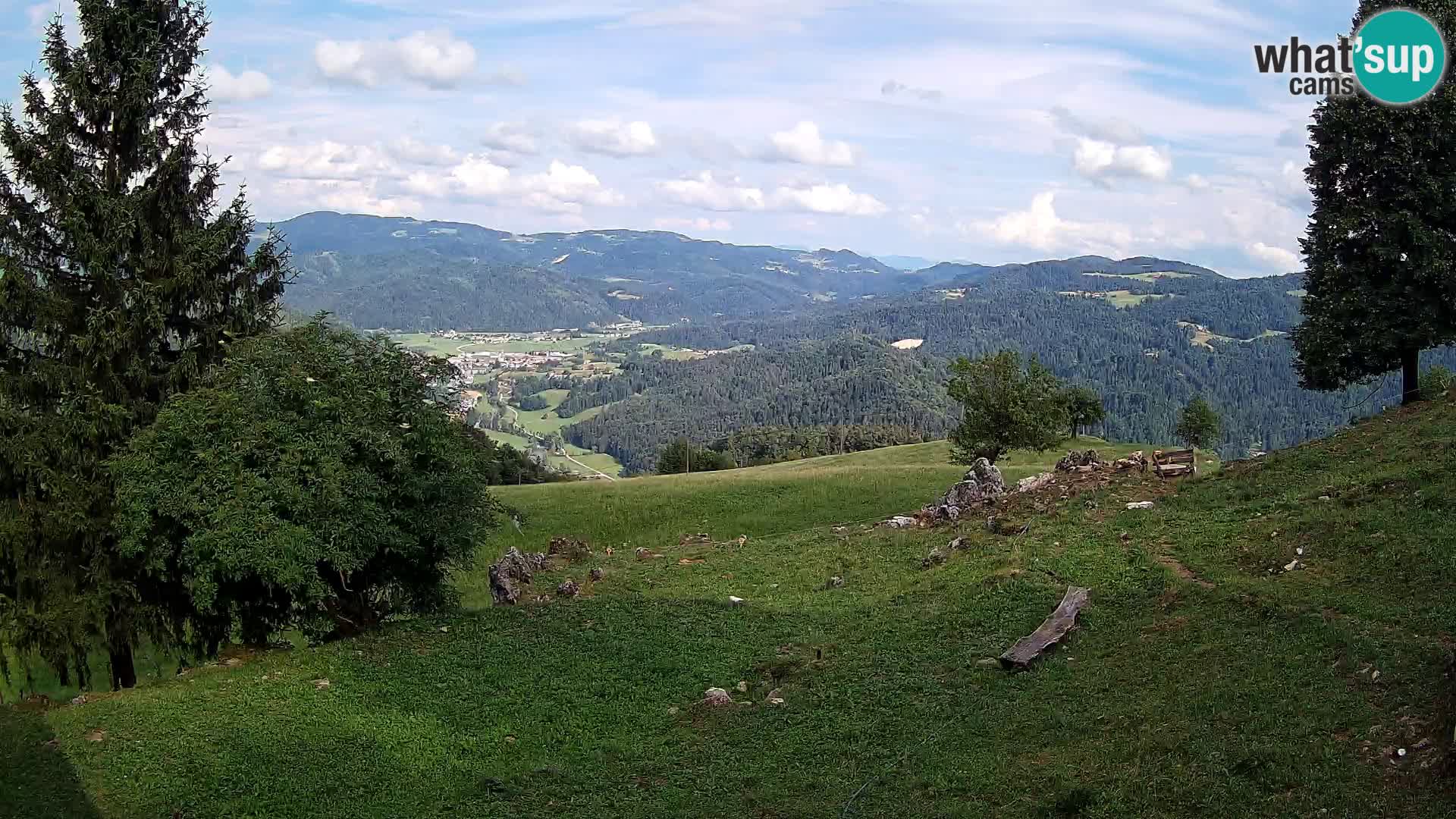 Slajka camera en vivo | Gorenja Vas | Eslovenia