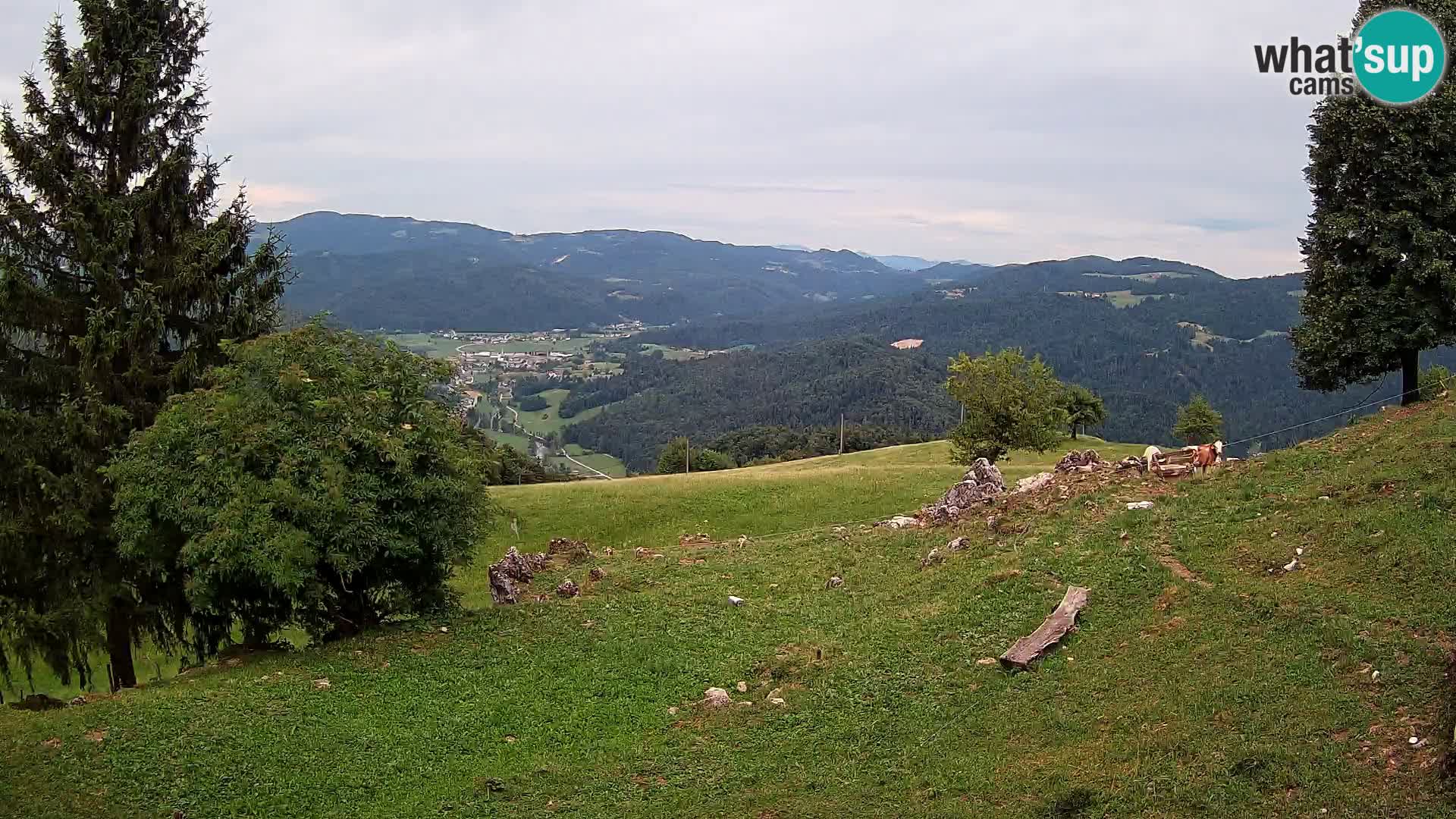 Slajka webcam | Gorenja Vas | Slowenien