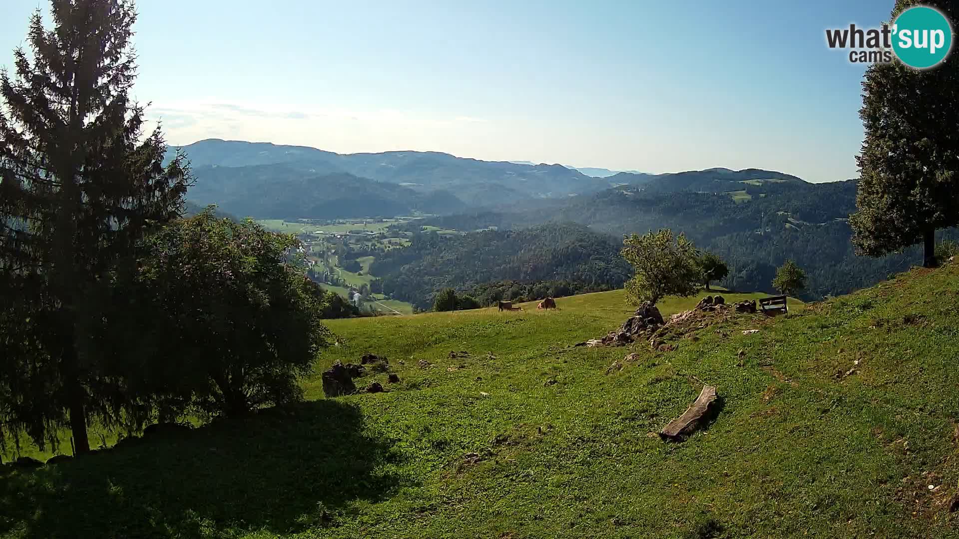 Slajka camera en vivo | Gorenja Vas | Eslovenia