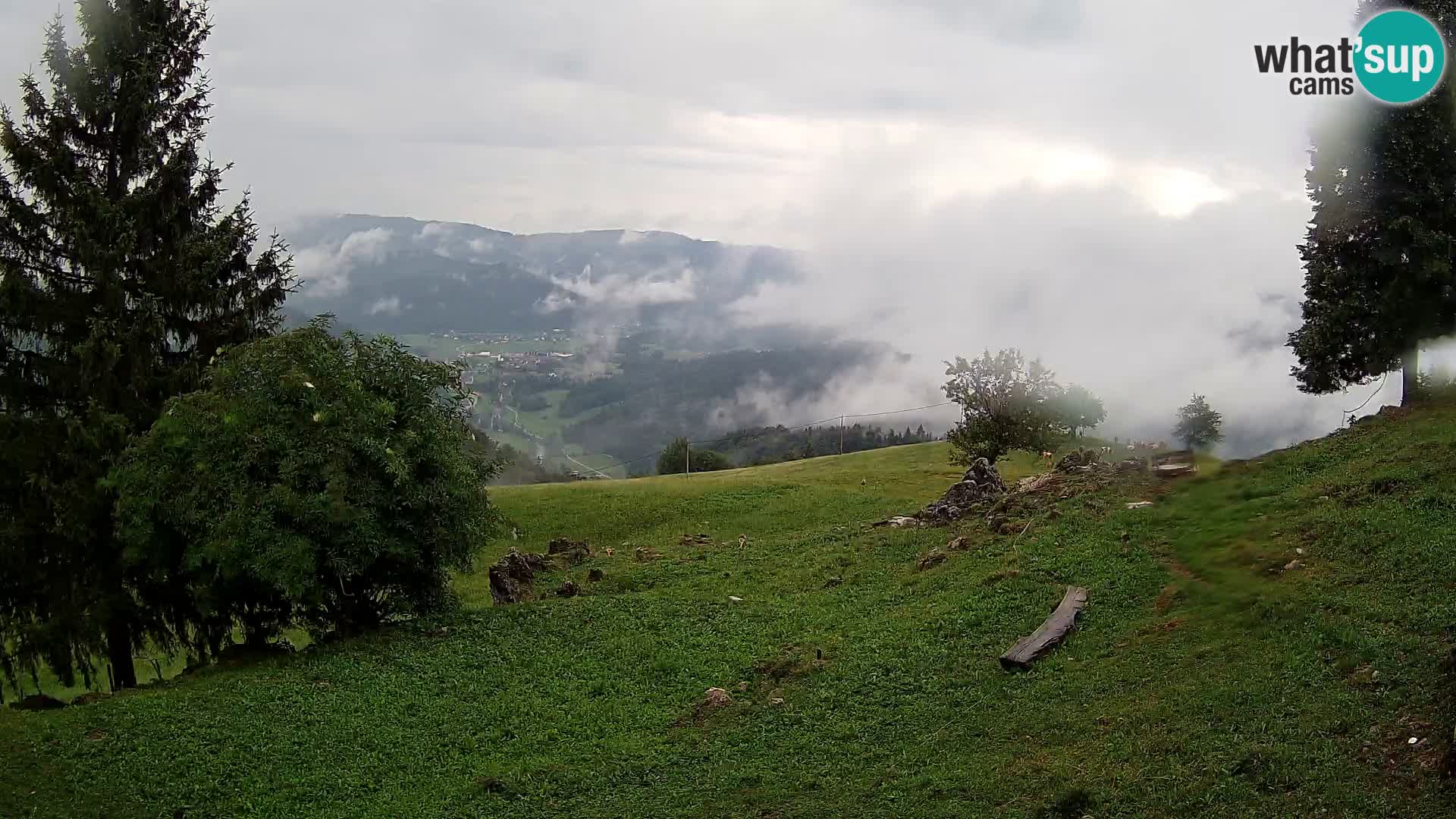 Slajka webam | Gorenja vas | Slovenia