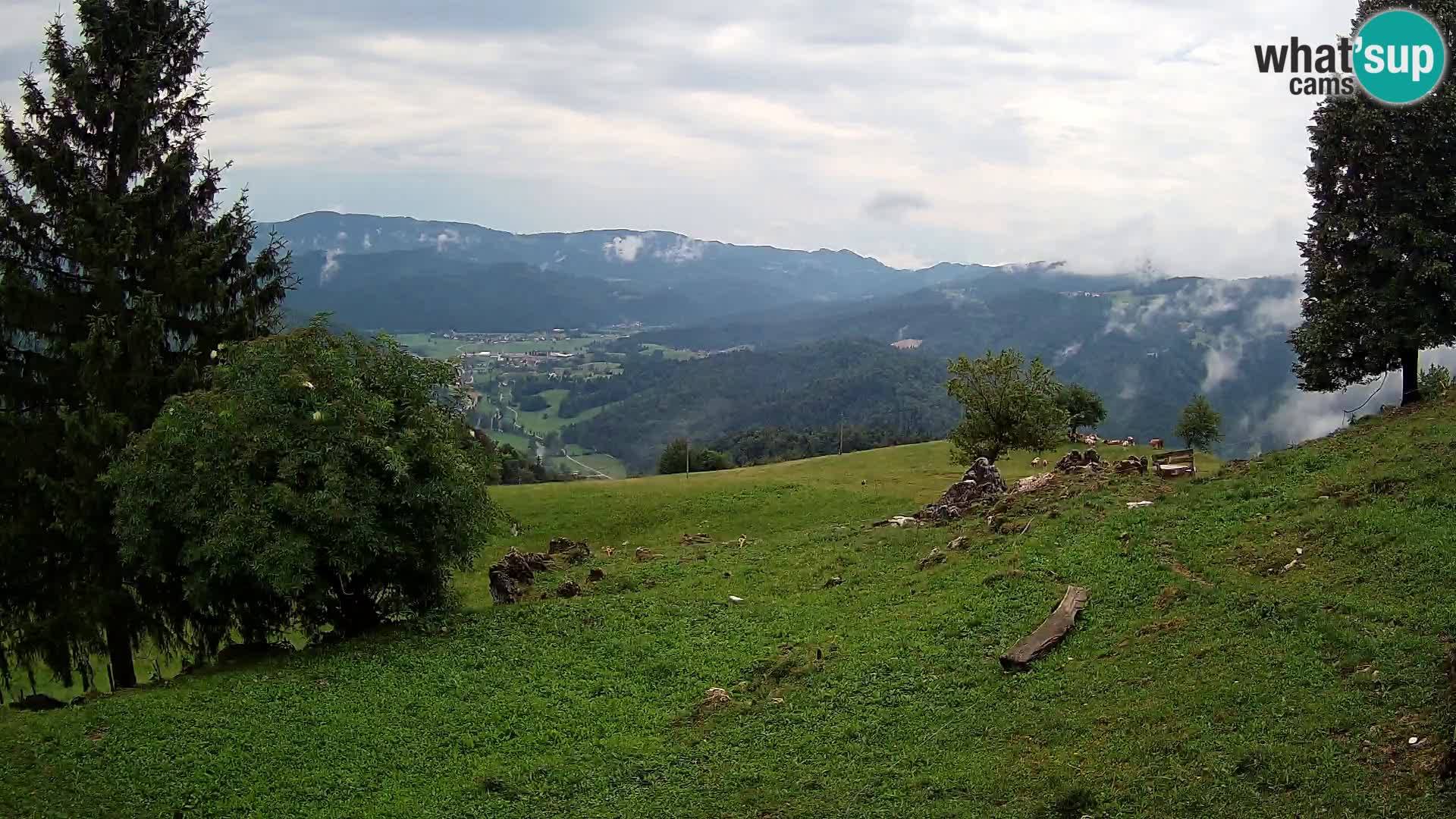 Slajka camera en vivo | Gorenja Vas | Eslovenia
