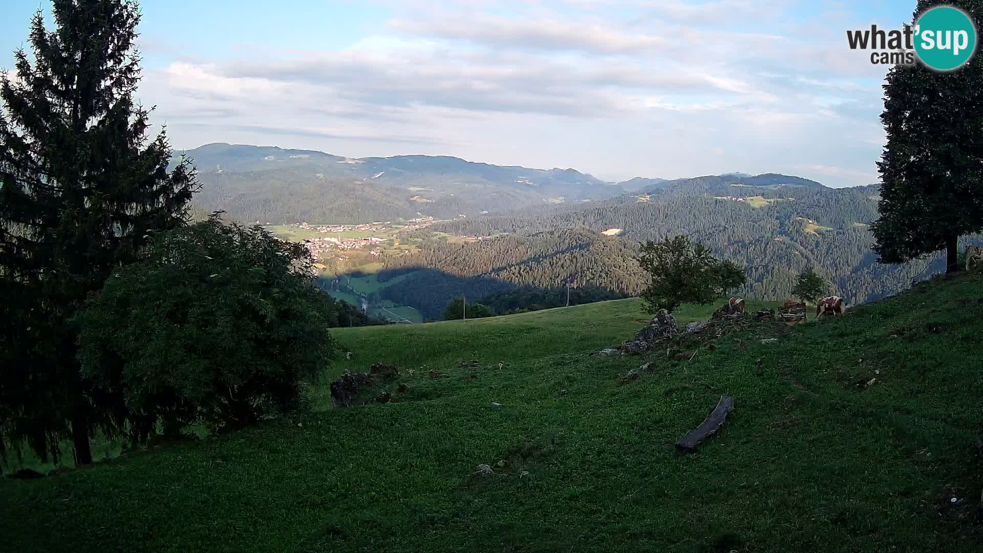 Slajka camera en vivo | Gorenja Vas | Eslovenia