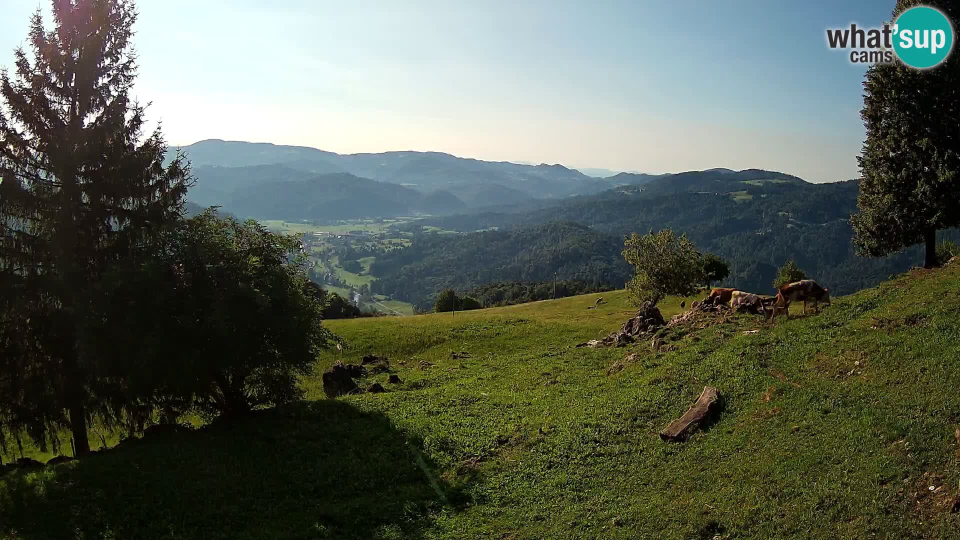 Slajka webam | Gorenja vas | Slovenia