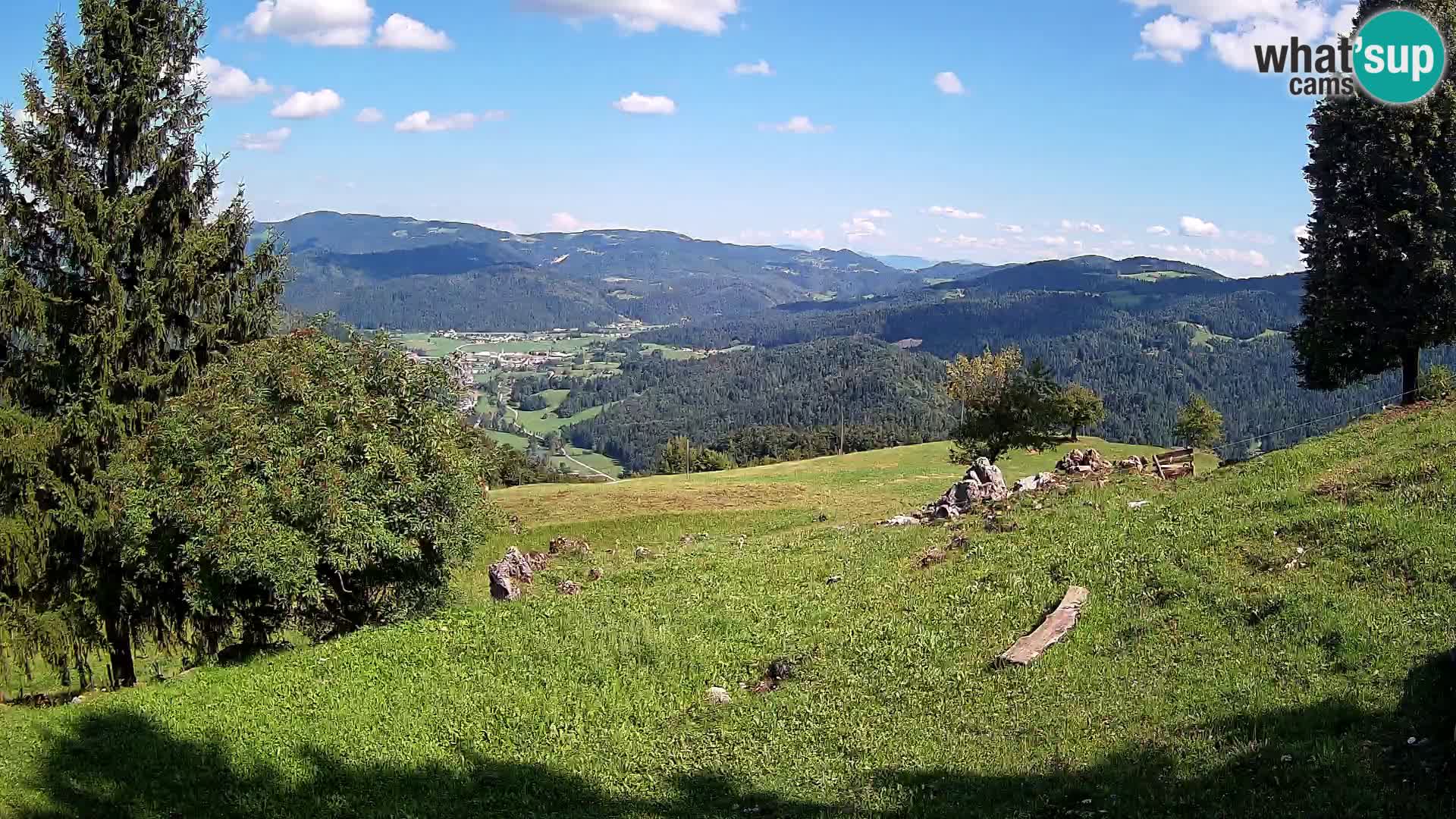 Slajka camera en vivo | Gorenja Vas | Eslovenia