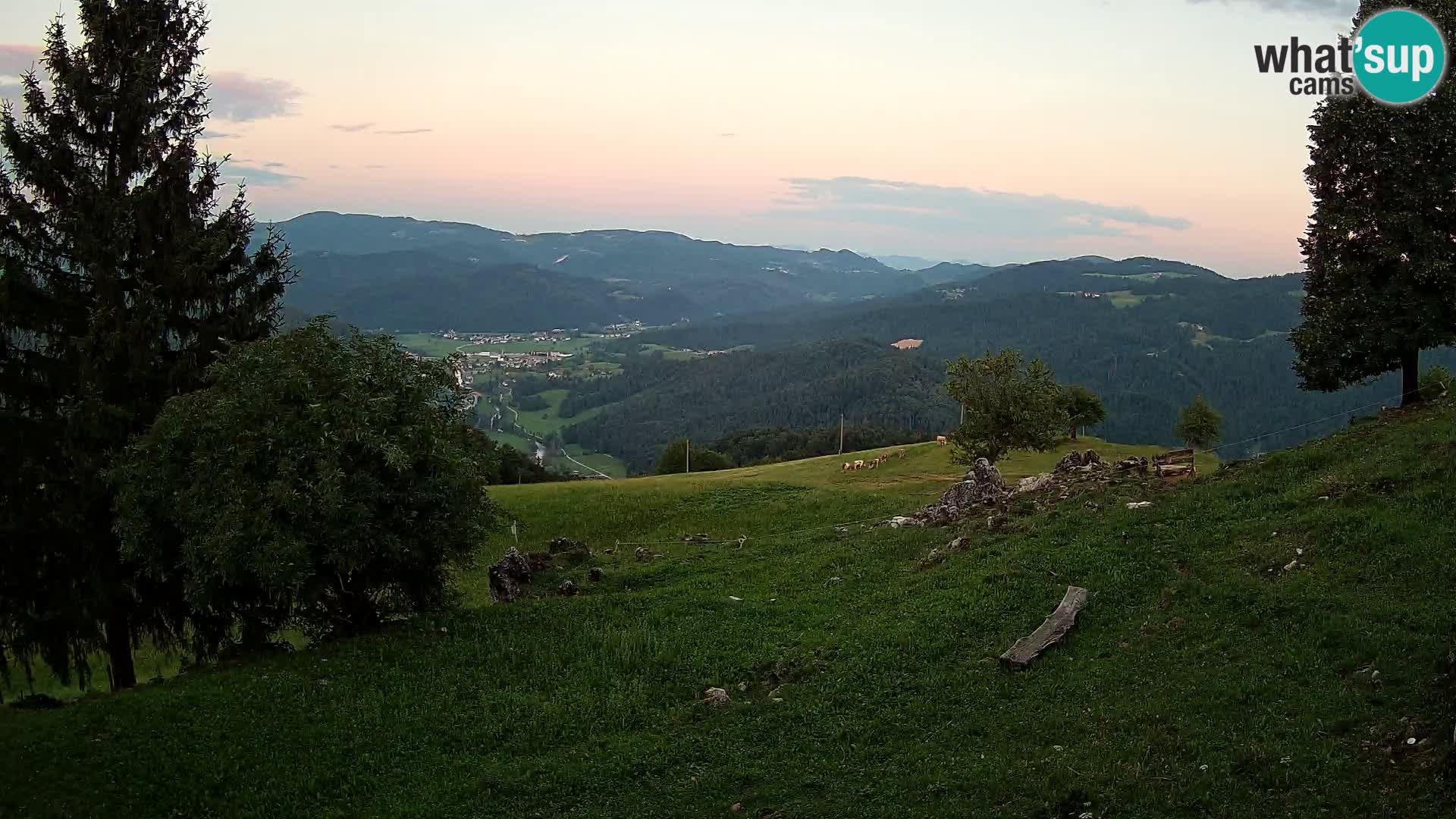 Slajka livecam | Gorenja Vas | Slovénie