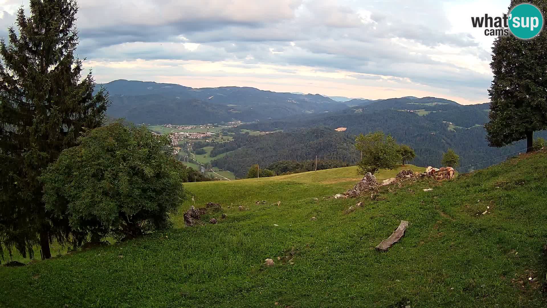 Slajka camera en vivo | Gorenja Vas | Eslovenia