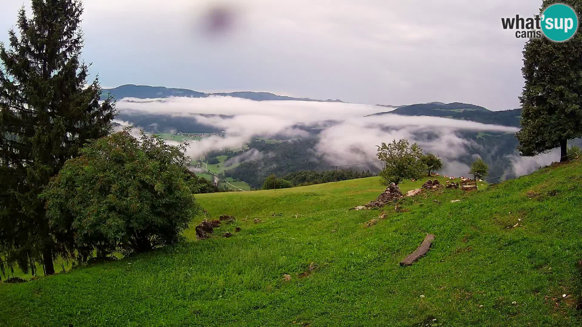 Slajka webam | Gorenja vas | Slovenia
