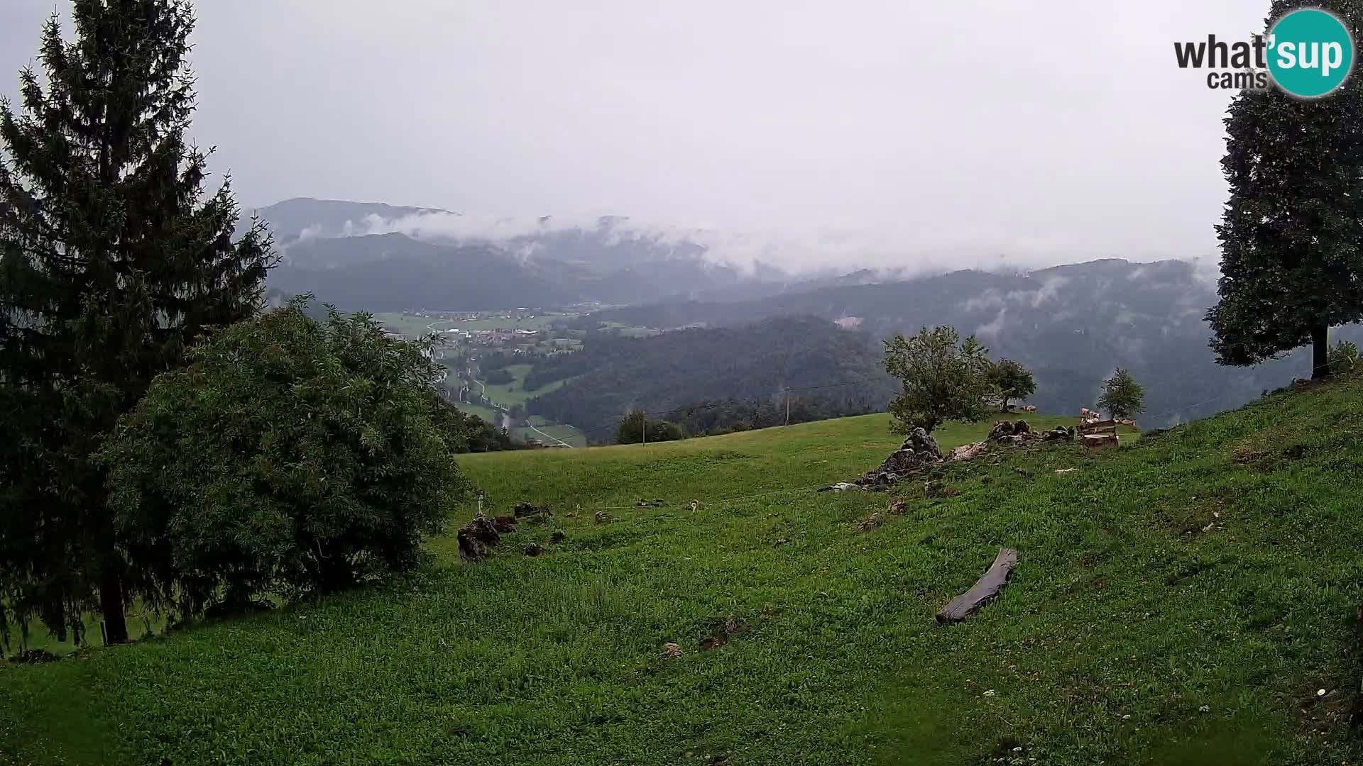 Slajka webam | Gorenja vas | Slovenia