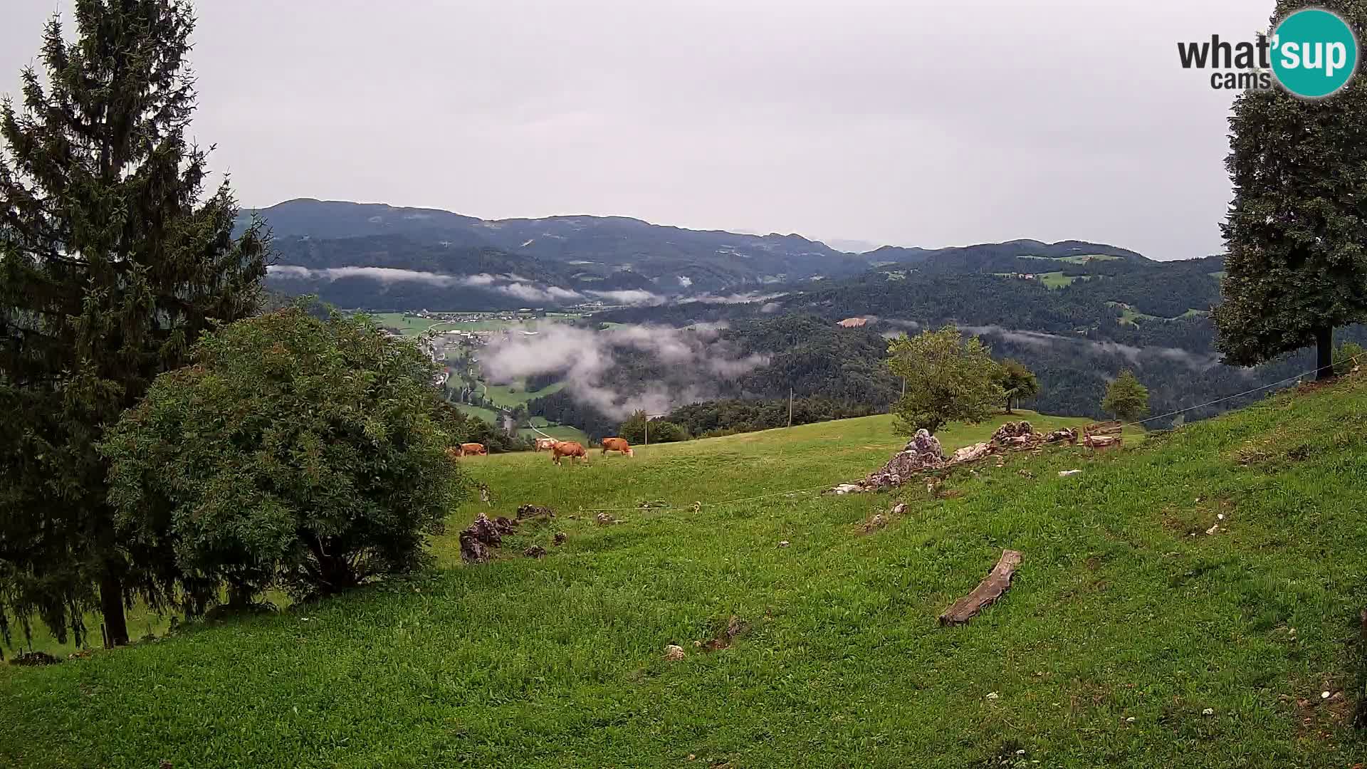 Webcam Slajka | Gorenja vas | Slovenia