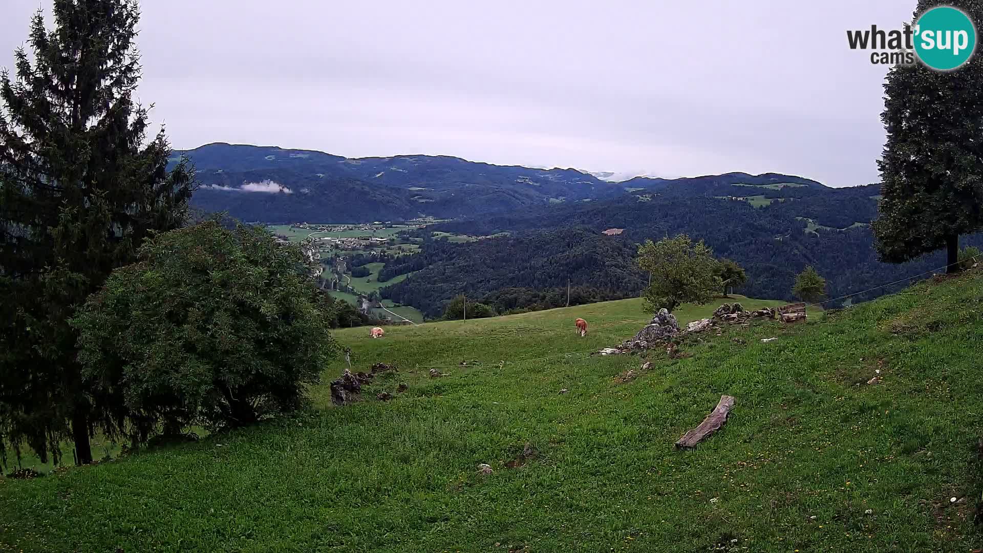 Slajka webam | Gorenja vas | Slovenia