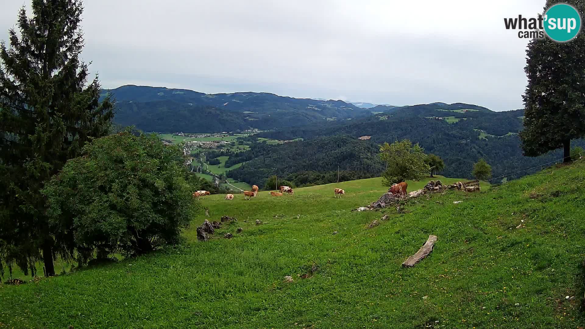 Slajka webcam | Gorenja Vas | Slowenien