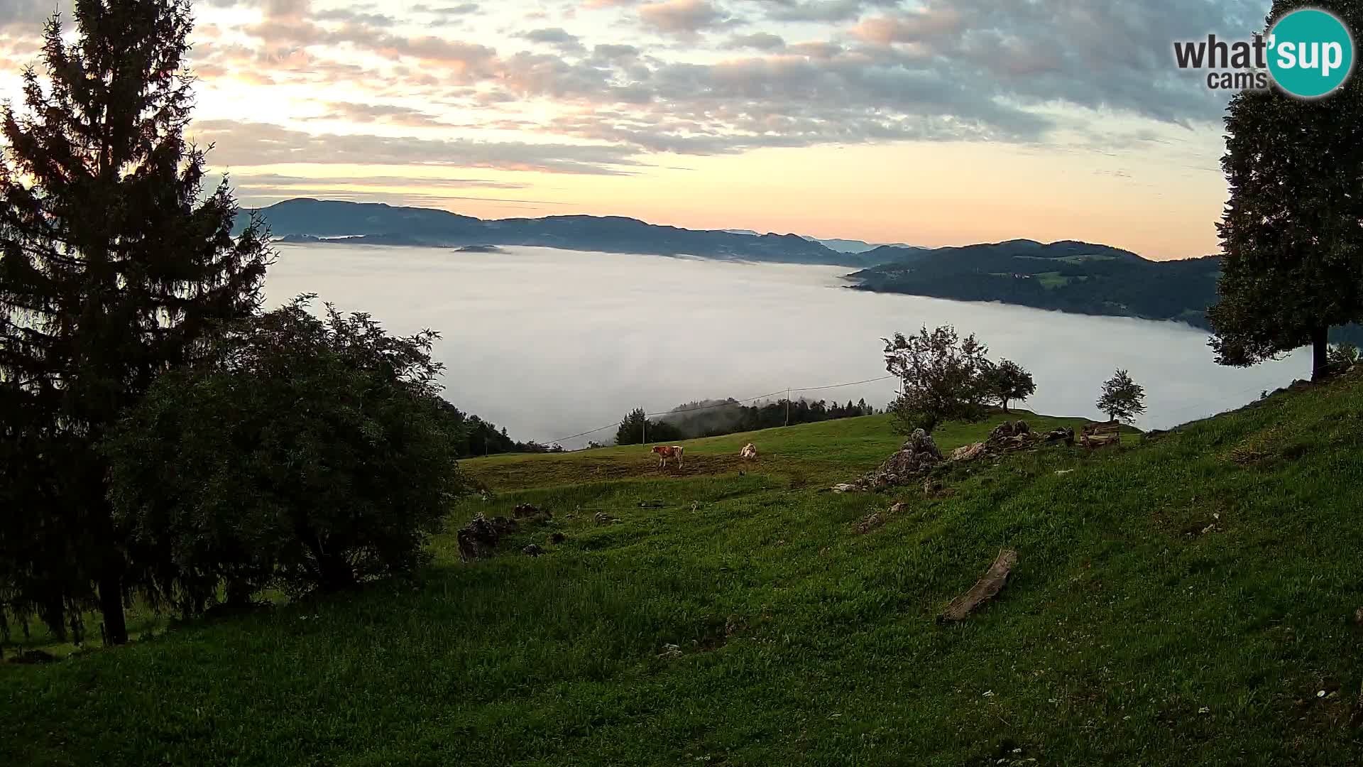 Slajka livecam | Gorenja Vas | Slovénie