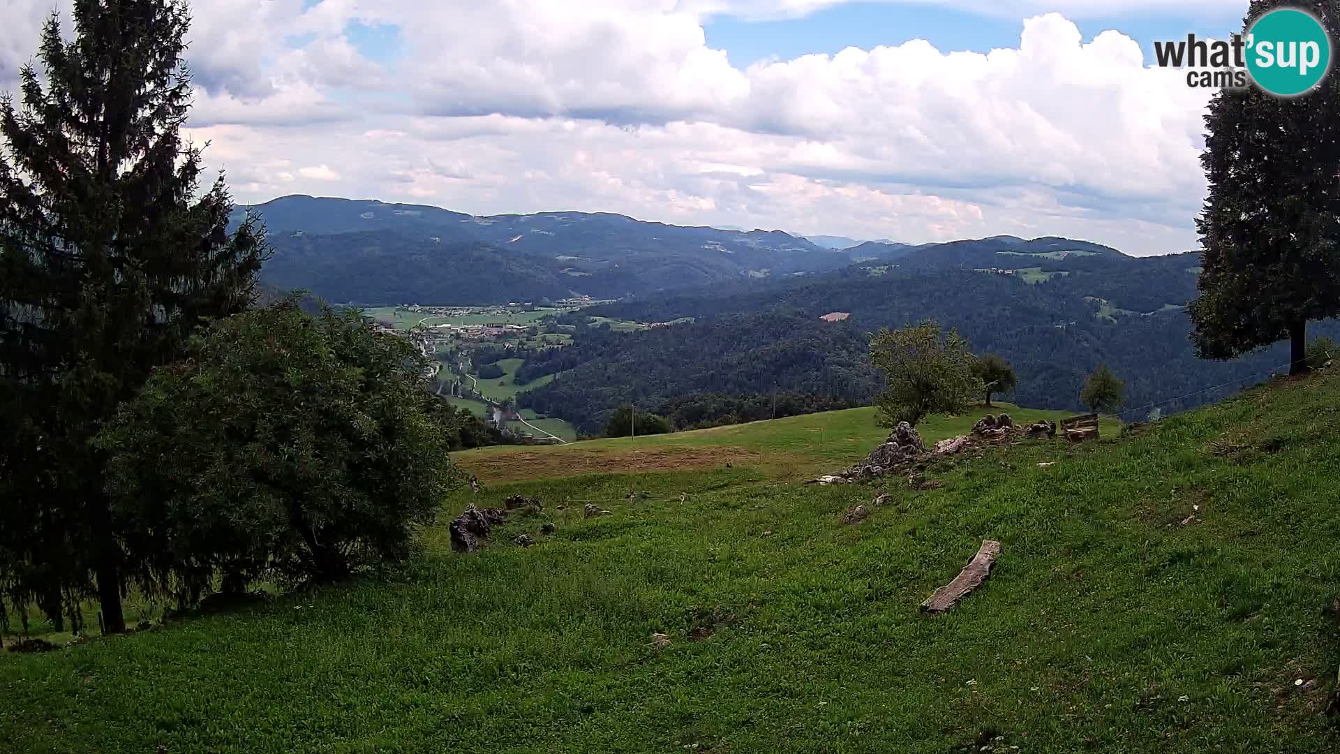 Slajka livecam | Gorenja Vas | Slovénie