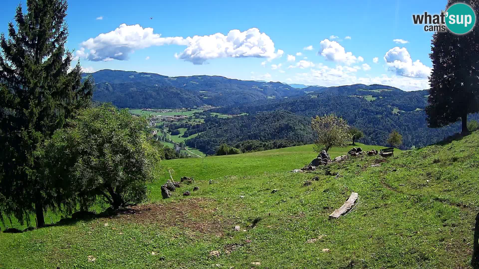 Slajka camera en vivo | Gorenja Vas | Eslovenia