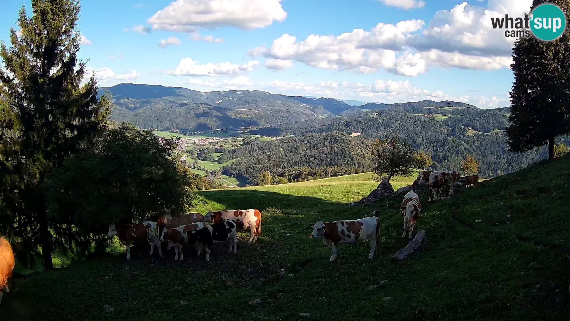 Slajka webcam | Gorenja Vas | Slowenien