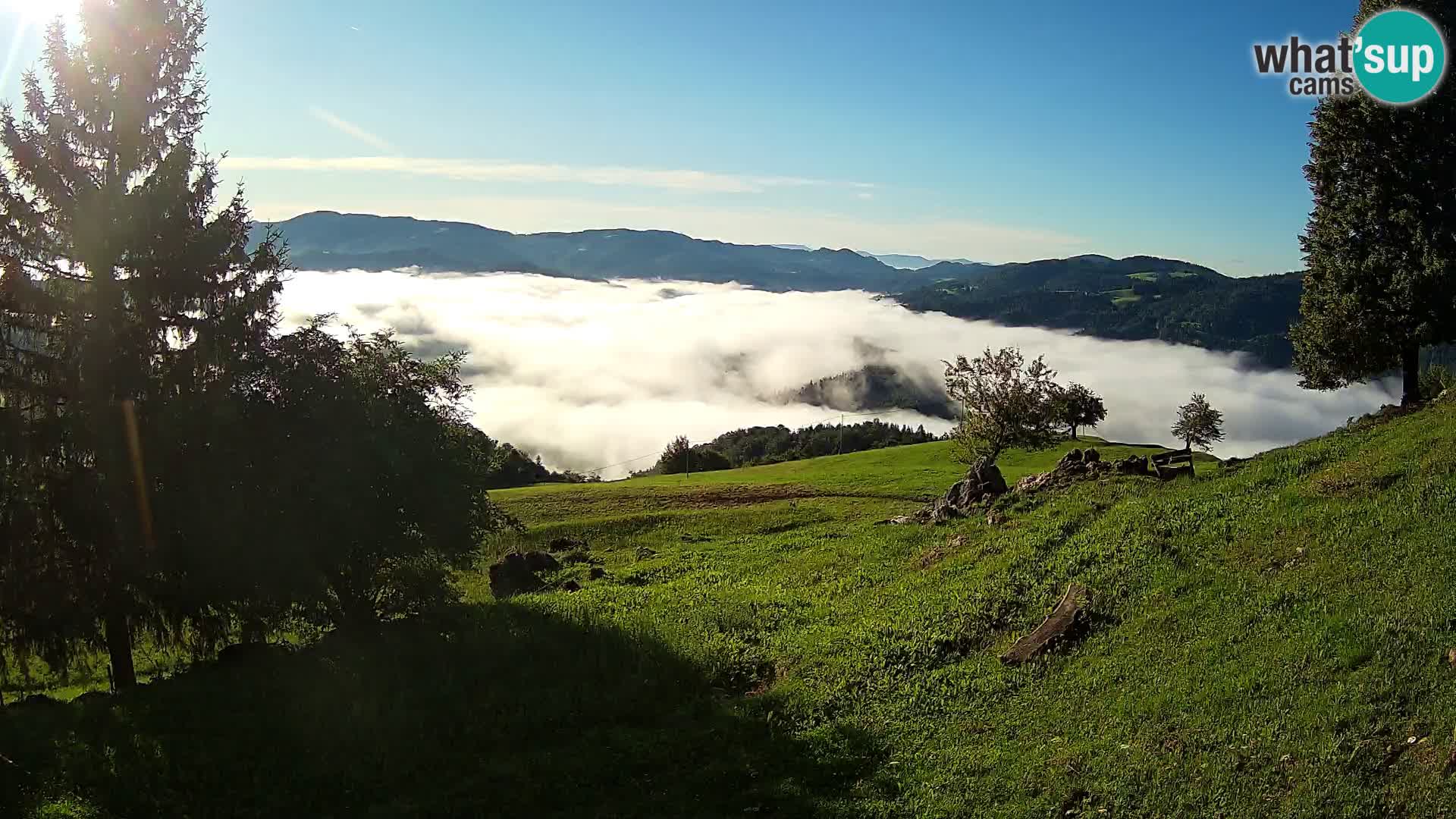 Slajka webam | Gorenja vas | Slovenia