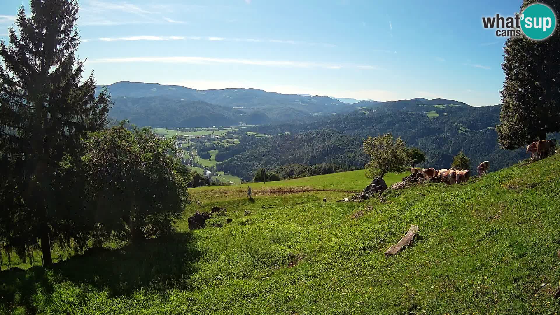 Slajka webam | Gorenja vas | Slovenia