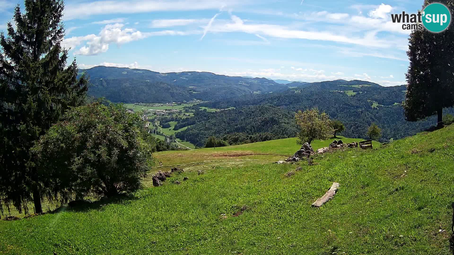 Slajka livecam | Gorenja Vas | Slovénie