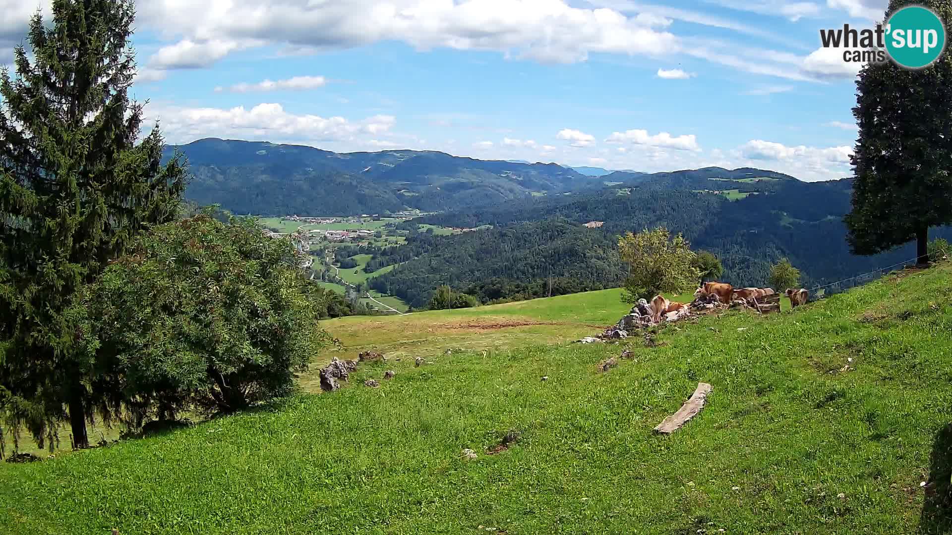 Slajka livecam | Gorenja Vas | Slovénie