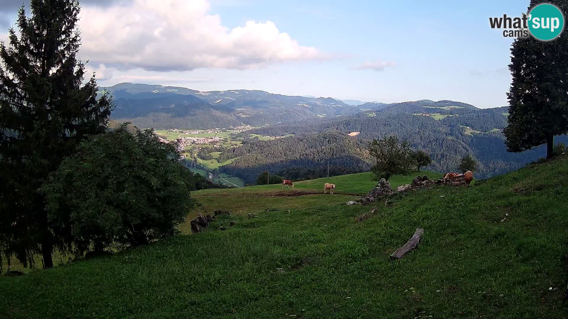 Slajka webcam | Gorenja Vas | Slowenien