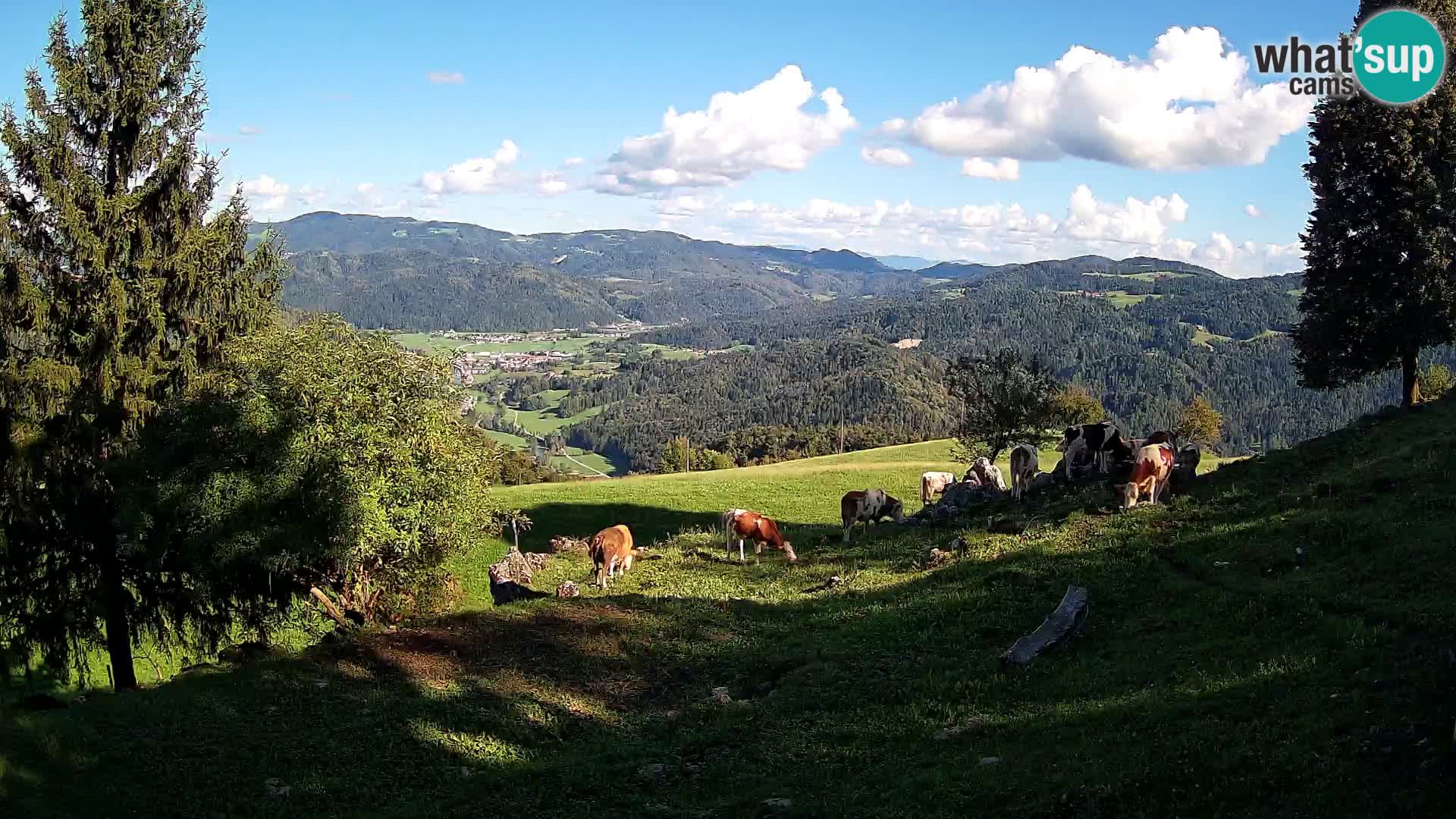 Webcam Slajka | Gorenja vas | Slovenia