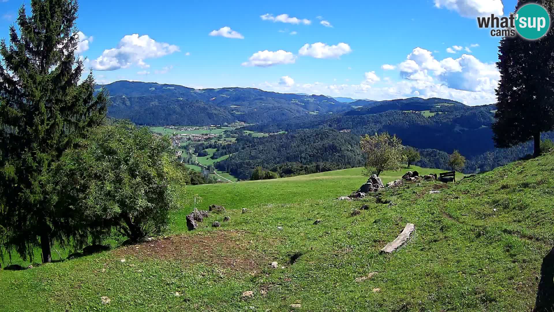 Slajka livecam | Gorenja Vas | Slovénie