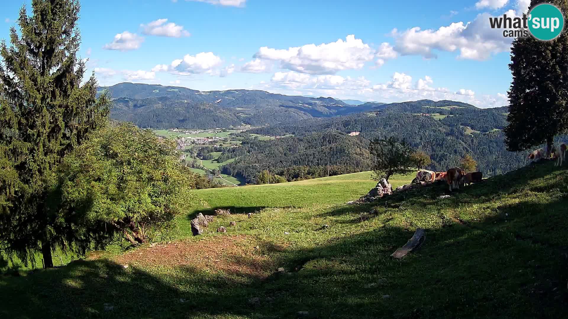 Slajka webcam | Gorenja Vas | Slowenien