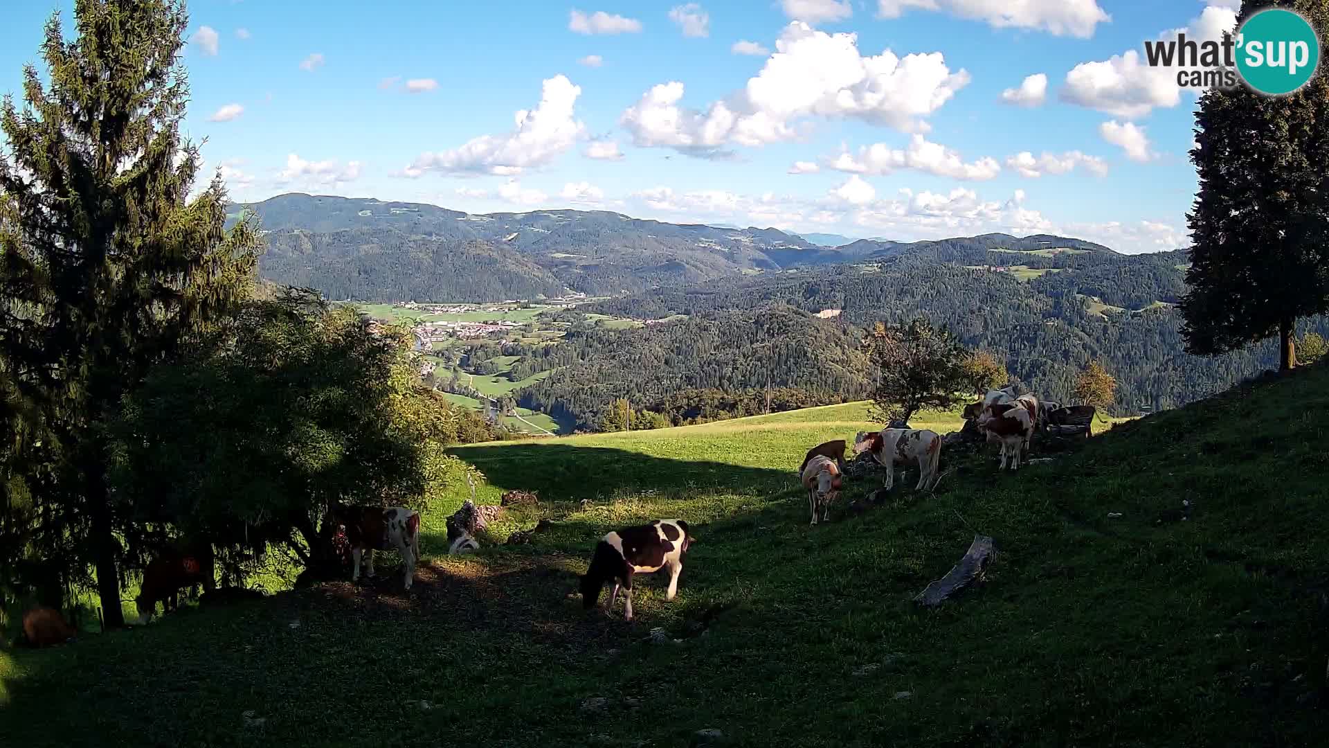 Slajka camera en vivo | Gorenja Vas | Eslovenia