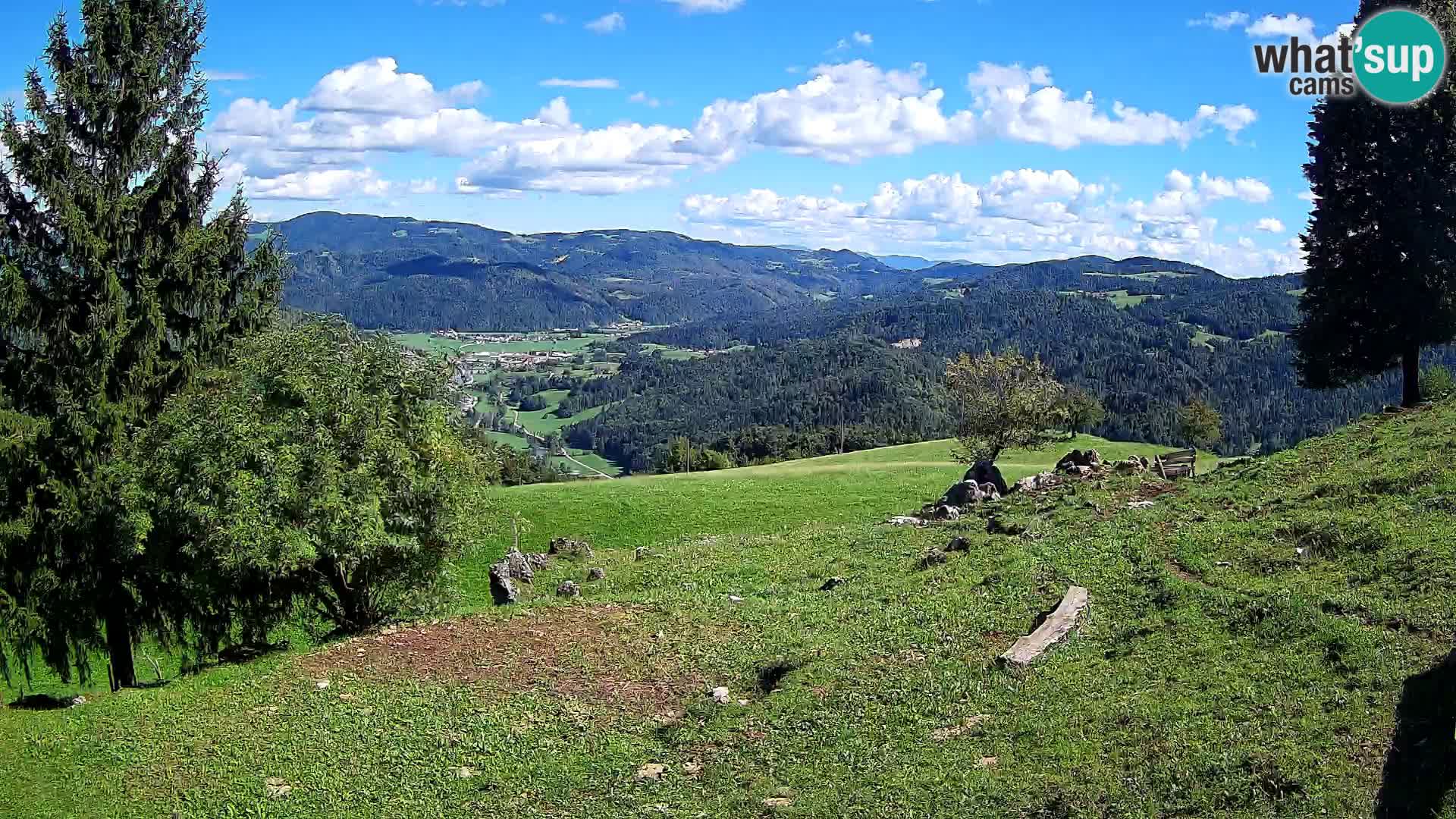 Slajka livecam | Gorenja Vas | Slovénie