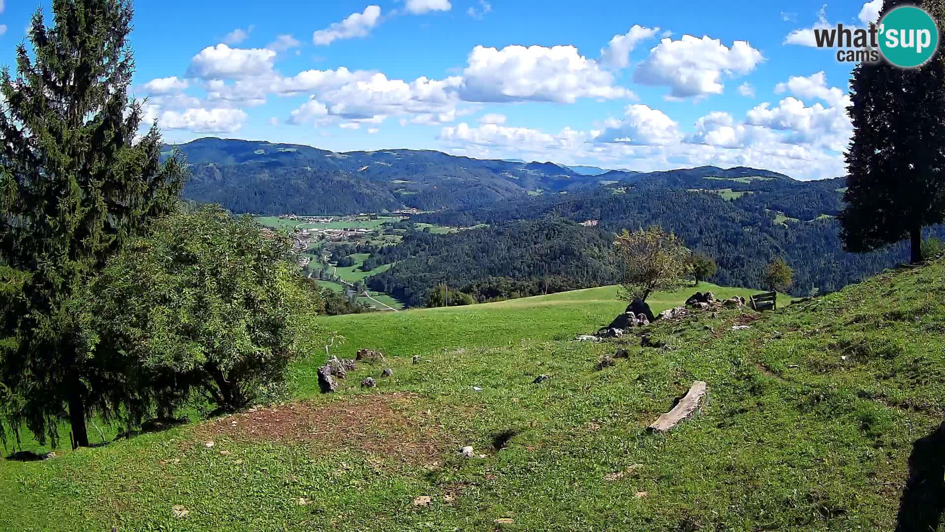 Slajka livecam | Gorenja Vas | Slovénie