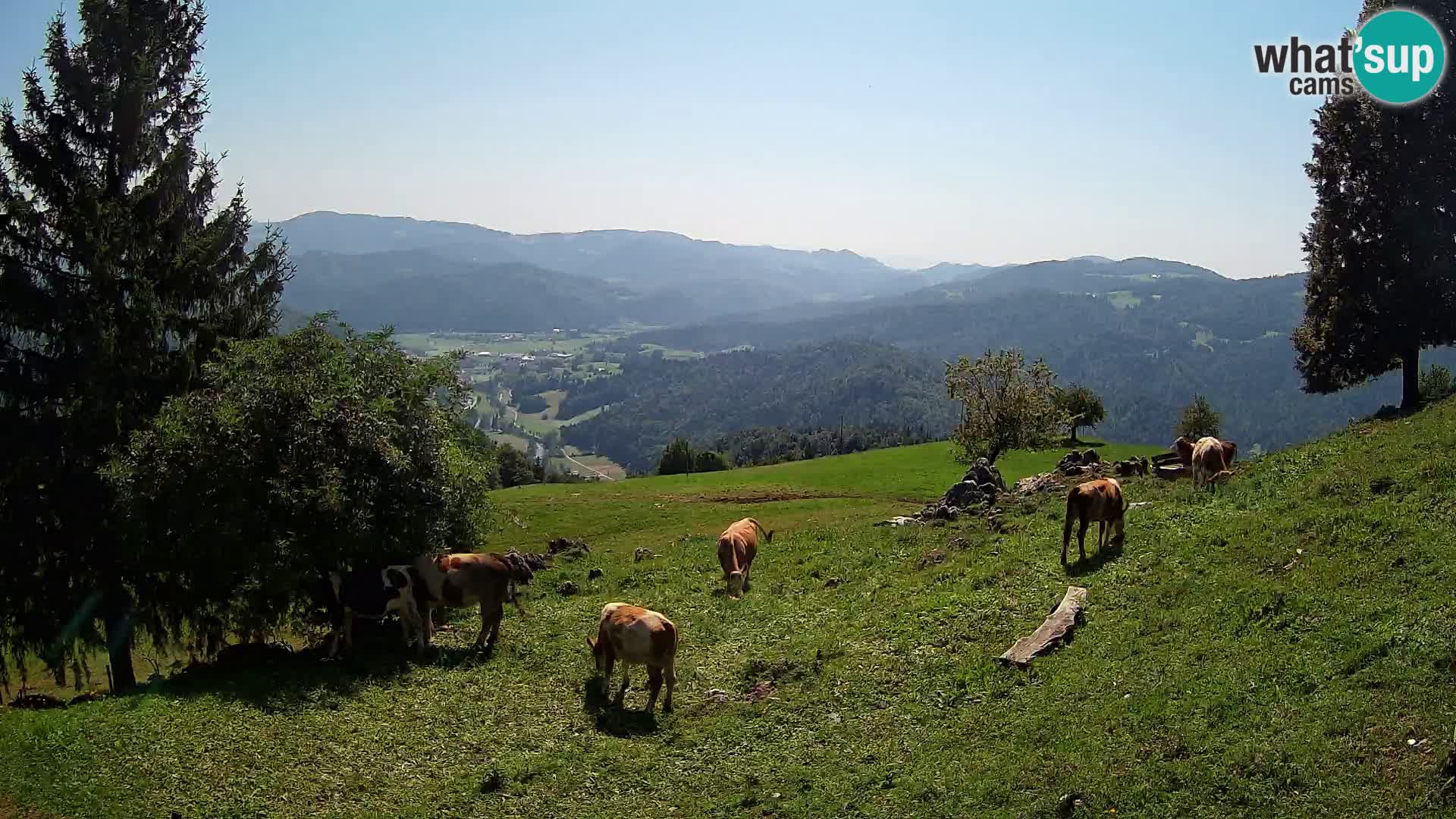 Webcam Slajka | Gorenja vas | Slovenia