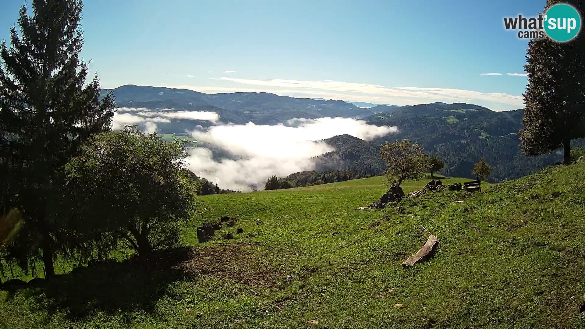Slajka camera en vivo | Gorenja Vas | Eslovenia