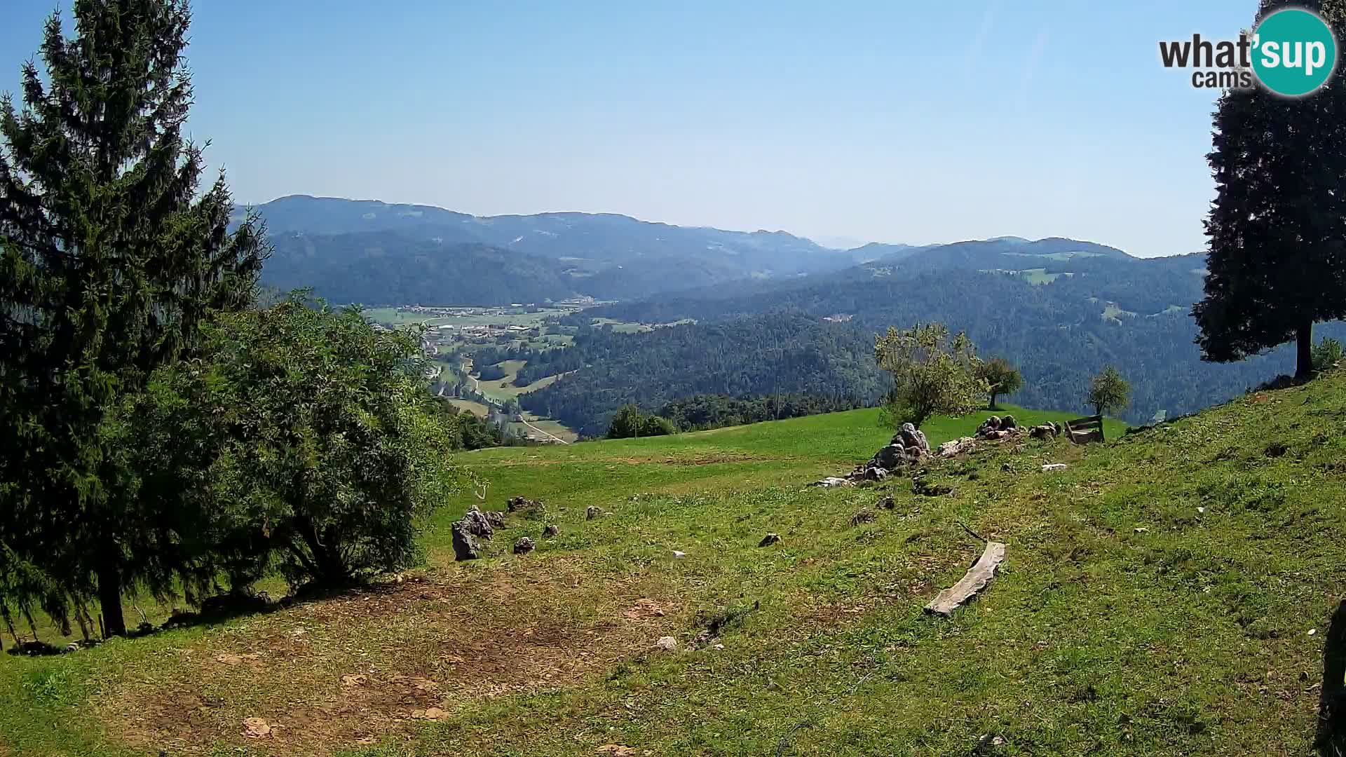 Slajka livecam | Gorenja Vas | Slovénie