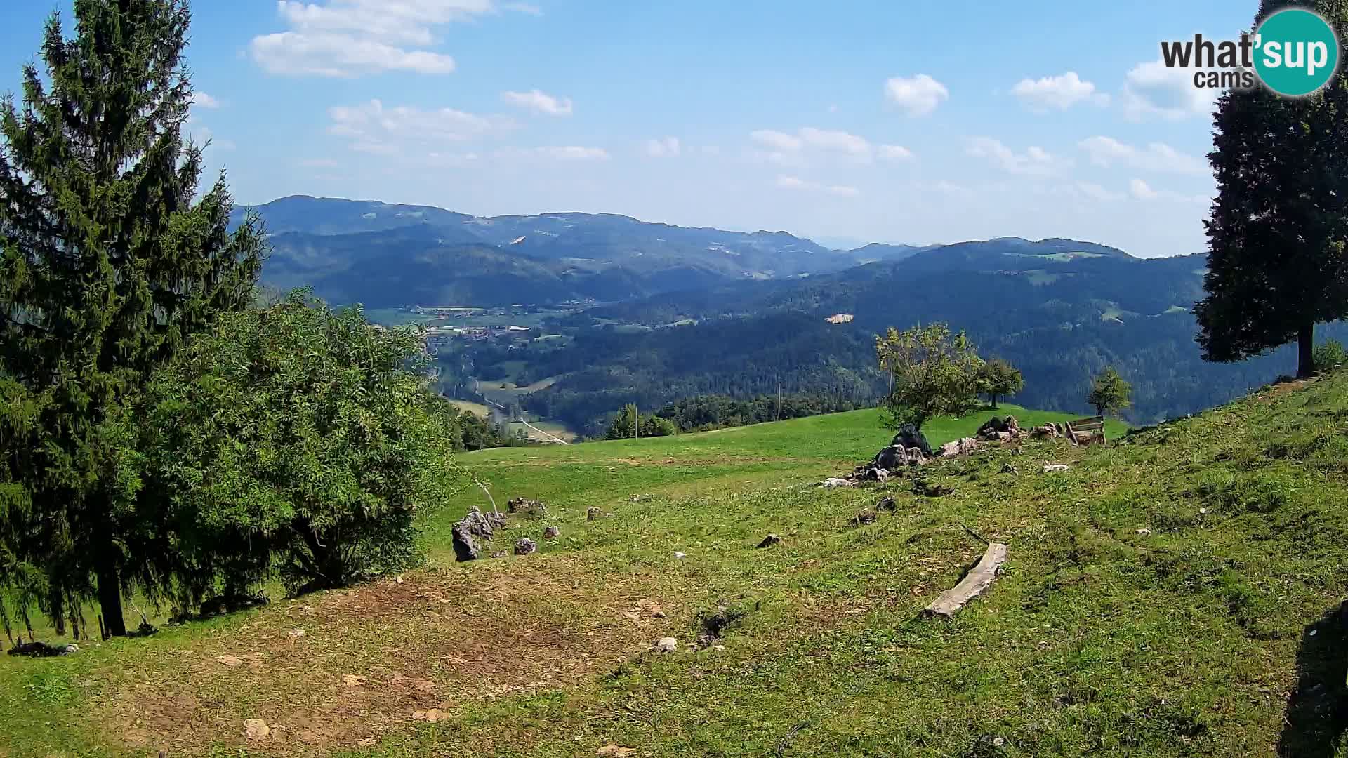 Slajka camera en vivo | Gorenja Vas | Eslovenia