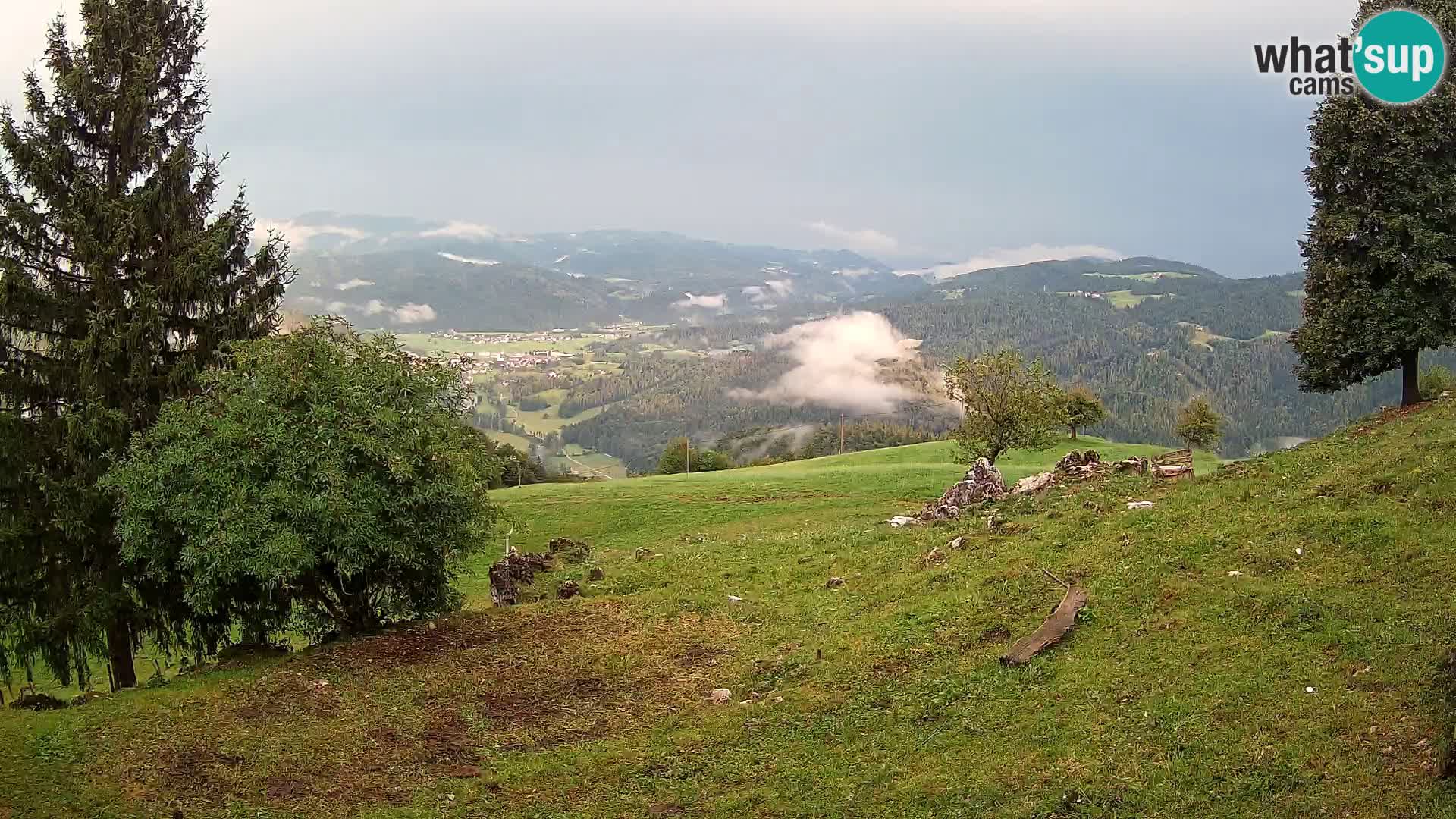 Slajka livecam | Gorenja Vas | Slovénie
