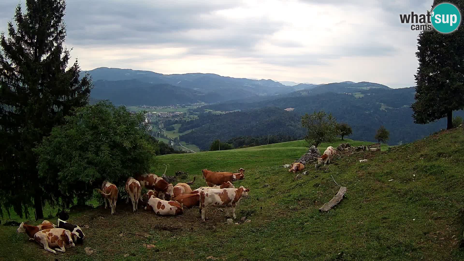 Slajka webam | Gorenja vas | Slovenia