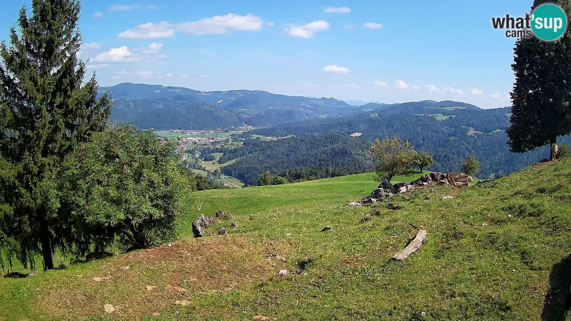 Slajka camera en vivo | Gorenja Vas | Eslovenia