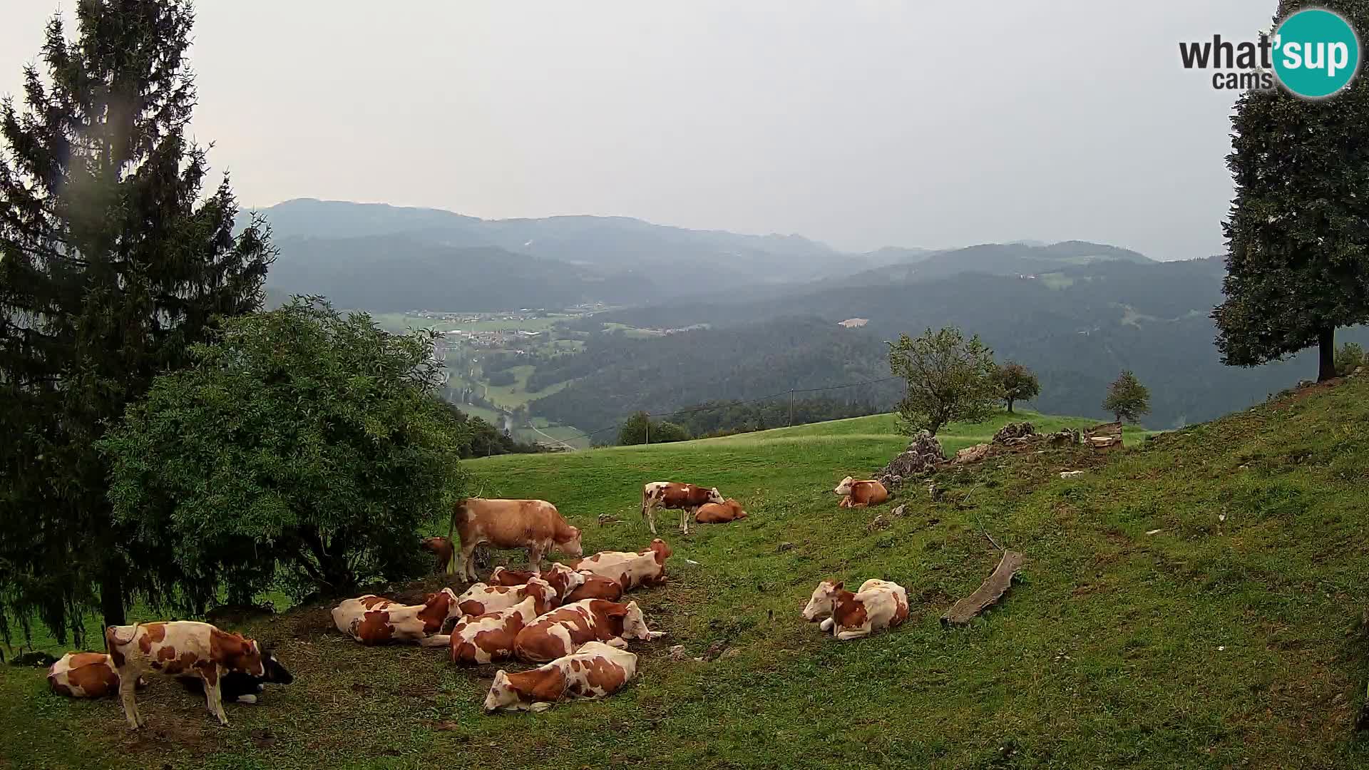 Slajka web kamera | Gorenja Vas | Slovenija