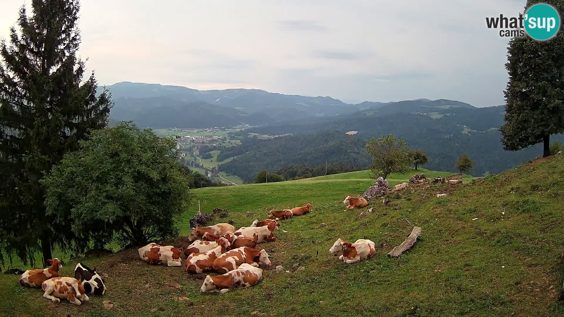 Slajka webam | Gorenja vas | Slovenia