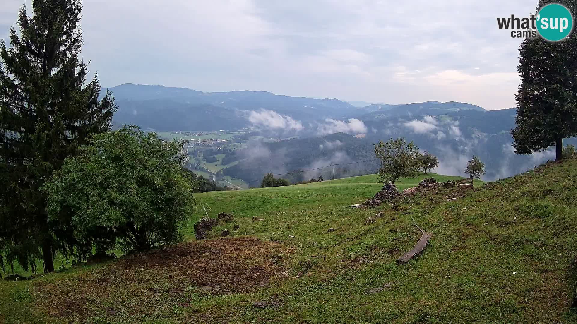 Slajka livecam | Gorenja Vas | Slovénie